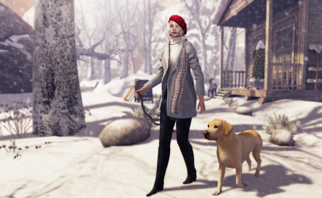 Woman in a blue coat and red hat walking with a yellow Labrador Retriever