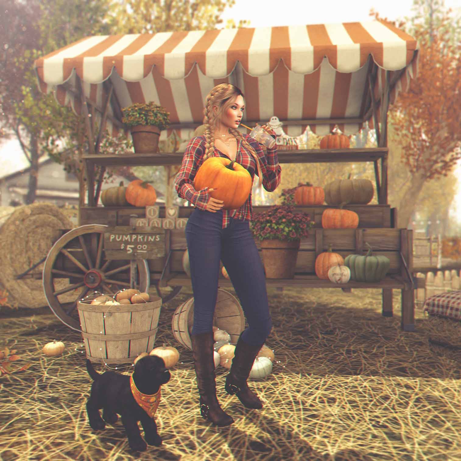 Last Minute Pumpkin Shopping