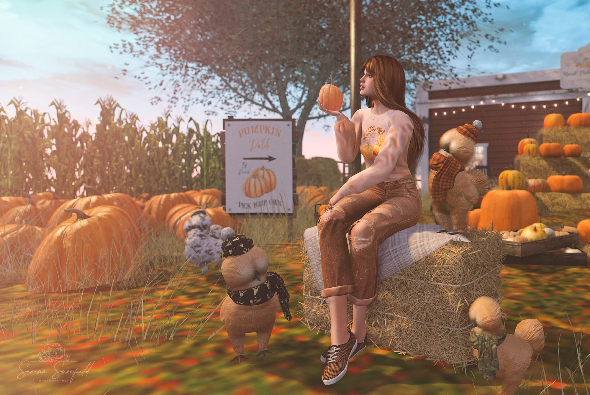 Leaves Falling, Autumn Calling – Part II