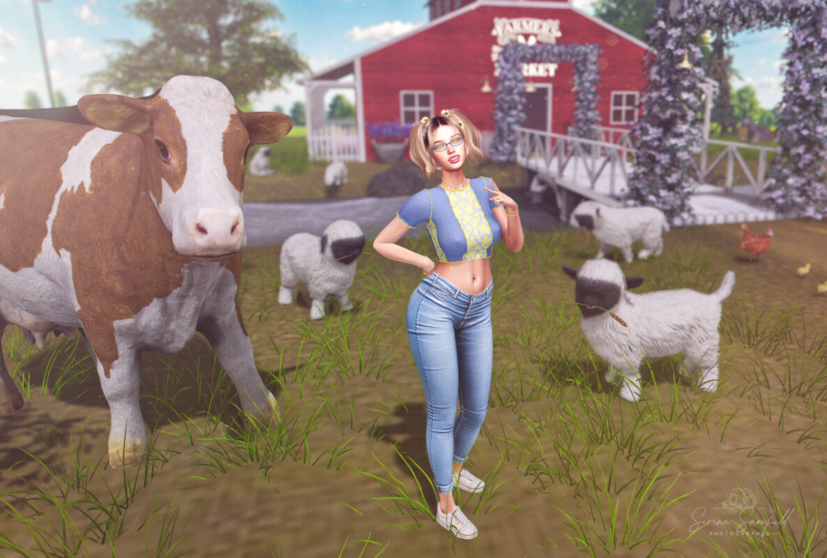 Every New Friend is a New Adventure